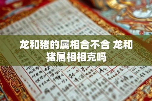 龙和猪的属相合不合 龙和猪属相相克吗