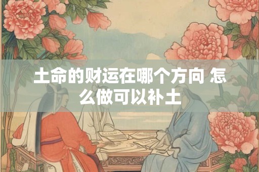 土命的财运在哪个方向 怎么做可以补土