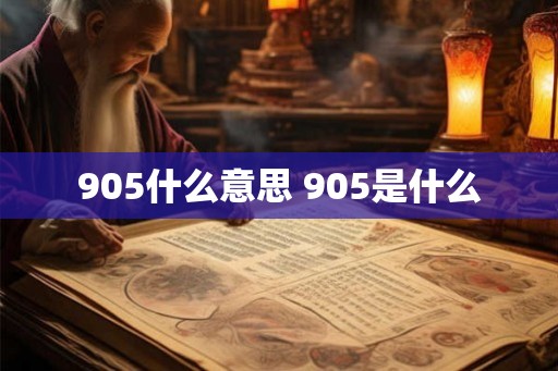 905什么意思 905是什么