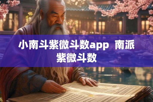 小南斗紫微斗数app  南派紫微斗数