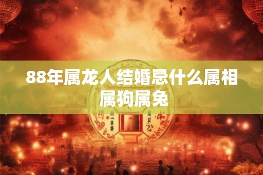 88年属龙人结婚忌什么属相 属狗属兔