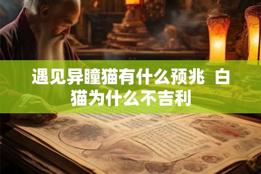 遇见异瞳猫有什么预兆  白猫为什么不吉利