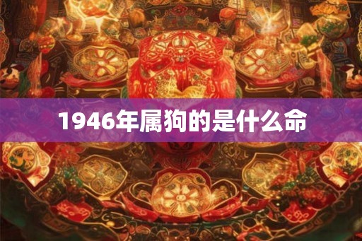 1946年属狗的是什么命