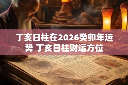 丁亥日柱在2026癸卯年运势 丁亥日柱财运方位