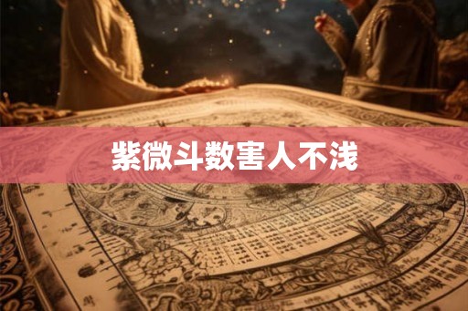 紫微斗数害人不浅 紫微斗数害人不浅