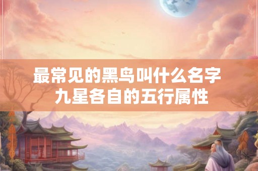 最常见的黑鸟叫什么名字  九星各自的五行属性