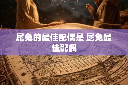 属兔的最佳配偶是 属兔最佳配偶
