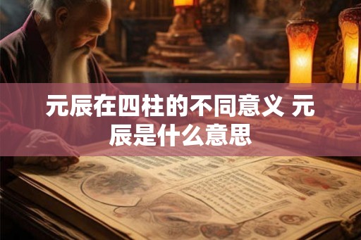 元辰在四柱的不同意义 元辰是什么意思