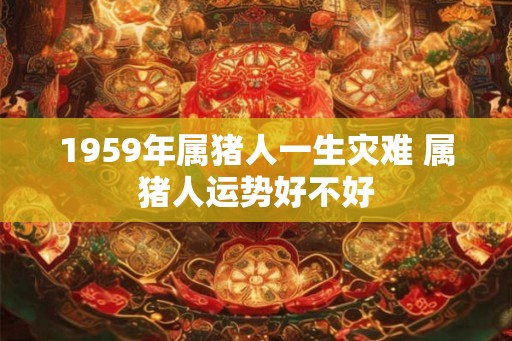 1959年属猪人一生灾难 属猪人运势好不好