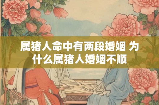 属猪人命中有两段婚姻 为什么属猪人婚姻不顺