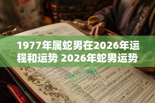 1977年属蛇男在2026年运程和运势 2026年蛇男运势如何
