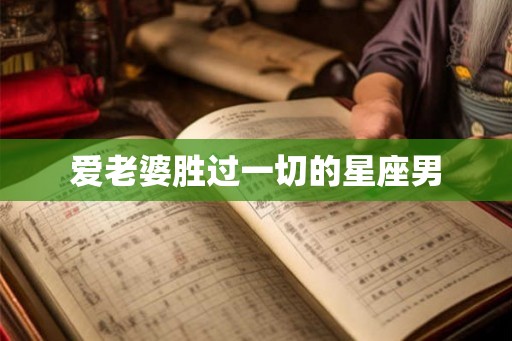 爱老婆胜过一切的星座男
