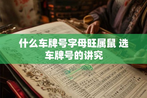 什么车牌号字母旺属鼠 选车牌号的讲究