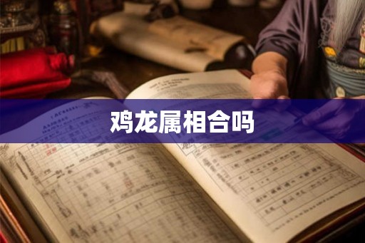 鸡龙属相合吗