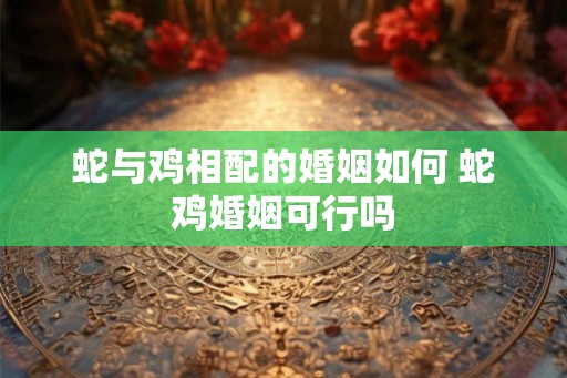 蛇与鸡相配的婚姻如何 蛇鸡婚姻可行吗