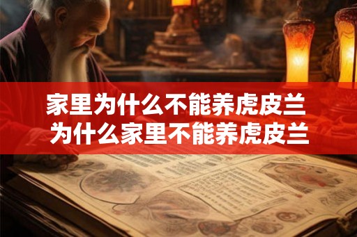 家里为什么不能养虎皮兰 为什么家里不能养虎皮兰 家里为什么不能养虎皮兰 为什么家里不能养虎皮兰