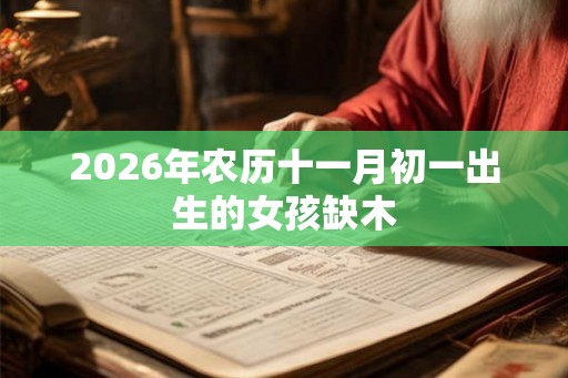 2026年农历十一月初一出生的女孩缺木
