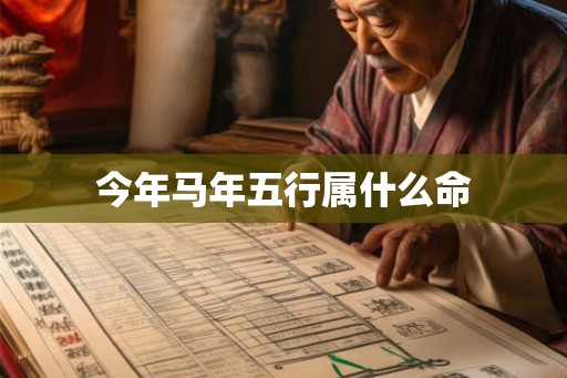 今年马年五行属什么命