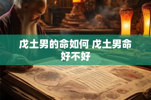 戊土男的命如何 戊土男命好不好