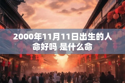 2000年11月11日出生的人命好吗 是什么命