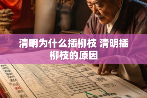 清明为什么插柳枝 清明插柳枝的原因 清明为什么插柳枝 清明插柳枝的原因