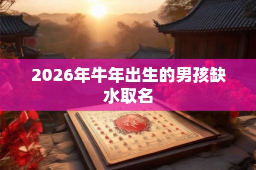 2026年牛年出生的男孩缺水取名