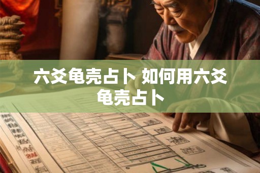 六爻龟壳占卜 如何用六爻龟壳占卜