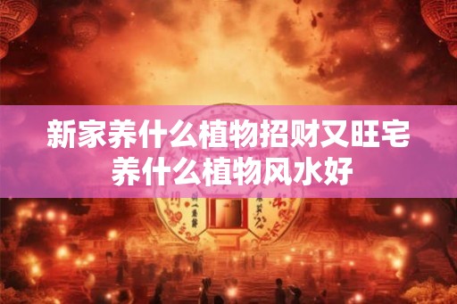 新家养什么植物招财又旺宅 养什么植物风水好