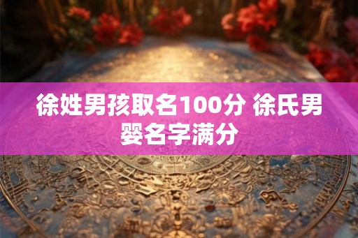 徐姓男孩取名100分 徐氏男婴名字满分 徐姓男孩取名100分 徐氏男婴名字满分