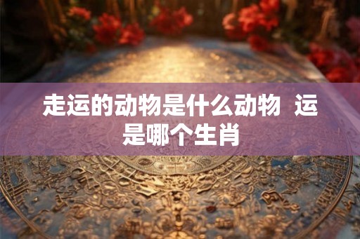 走运的动物是什么动物  运是哪个生肖