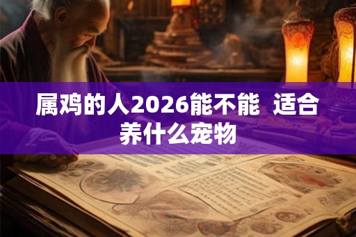属鸡的人2026能不能  适合养什么宠物