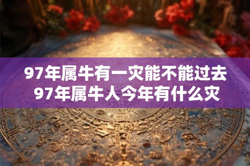 97年属牛有一灾能不能过去 97年属牛人今年有什么灾难