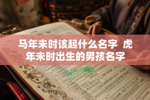 马年未时该起什么名字  虎年未时出生的男孩名字