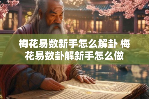 梅花易数新手怎么解卦 梅花易数卦解新手怎么做