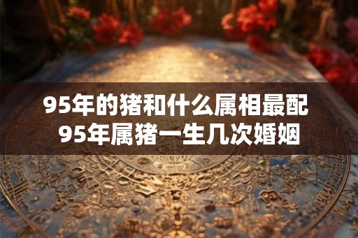95年的猪和什么属相最配 95年属猪一生几次婚姻 95年的猪和什么属相最配 95年属猪一生几次婚姻