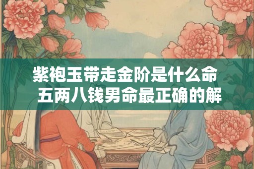 紫袍玉带走金阶是什么命  五两八钱男命最正确的解释是