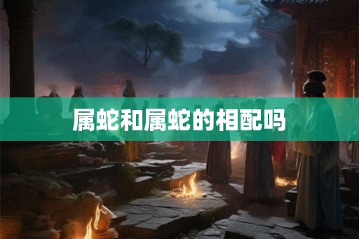 属蛇和属蛇的相配吗