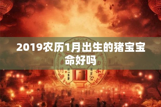 2019农历1月出生的猪宝宝命好吗 2019农历1月出生的猪宝宝命好吗