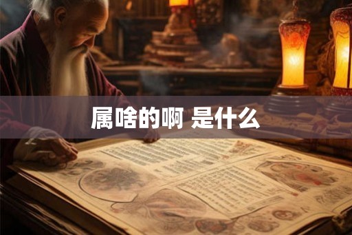属啥的啊 是什么