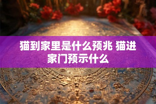猫到家里是什么预兆 猫进家门预示什么 猫到家里是什么预兆 猫进家门预示什么
