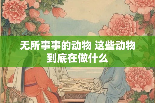 无所事事的动物 这些动物到底在做什么