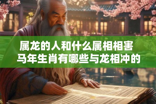属龙的人和什么属相相害 马年生肖有哪些与龙相冲的