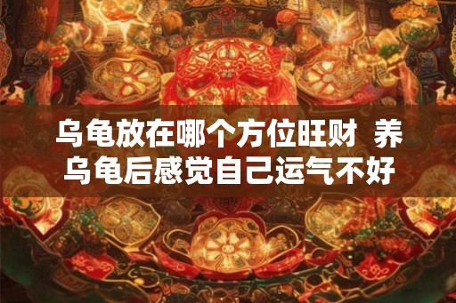 乌龟放在哪个方位旺财 养乌龟后感觉自己运气不好 乌龟放在哪个方位旺财 养乌龟后感觉自己运气不好