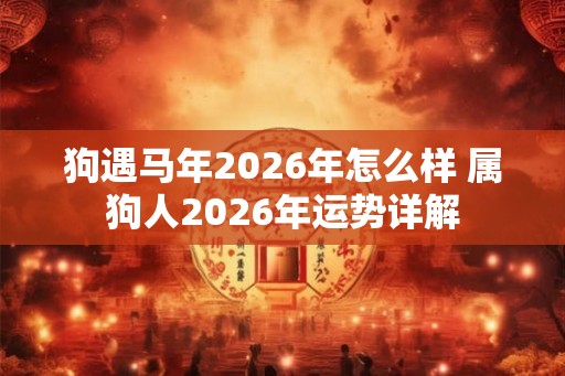 狗遇马年2026年怎么样 属狗人2026年运势详解
