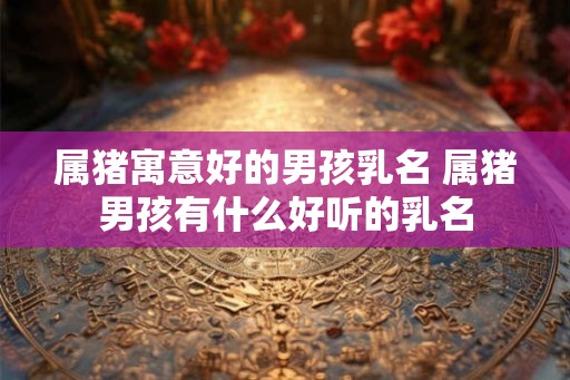 属猪寓意好的男孩乳名 属猪男孩有什么好听的乳名