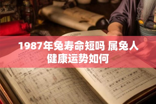 1987年兔寿命短吗 属兔人健康运势如何