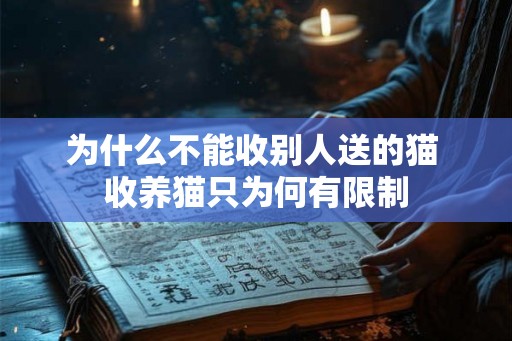 为什么不能收别人送的猫 收养猫只为何有限制