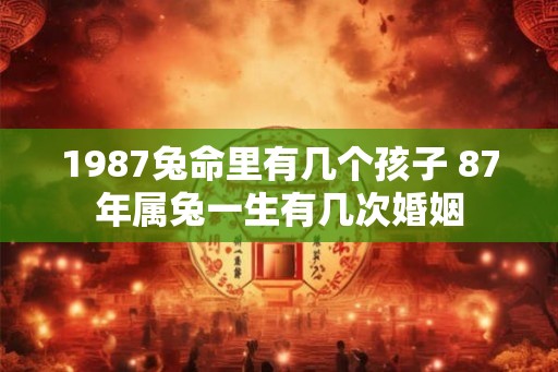 1987兔命里有几个孩子 87年属兔一生有几次婚姻
