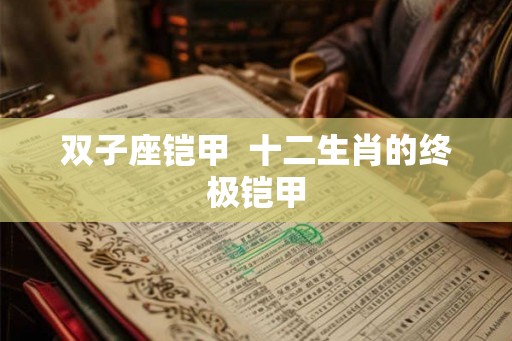 双子座铠甲  十二生肖的终极铠甲