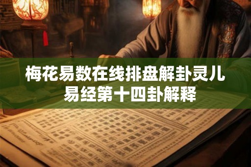 梅花易数在线排盘解卦灵儿  易经第十四卦解释